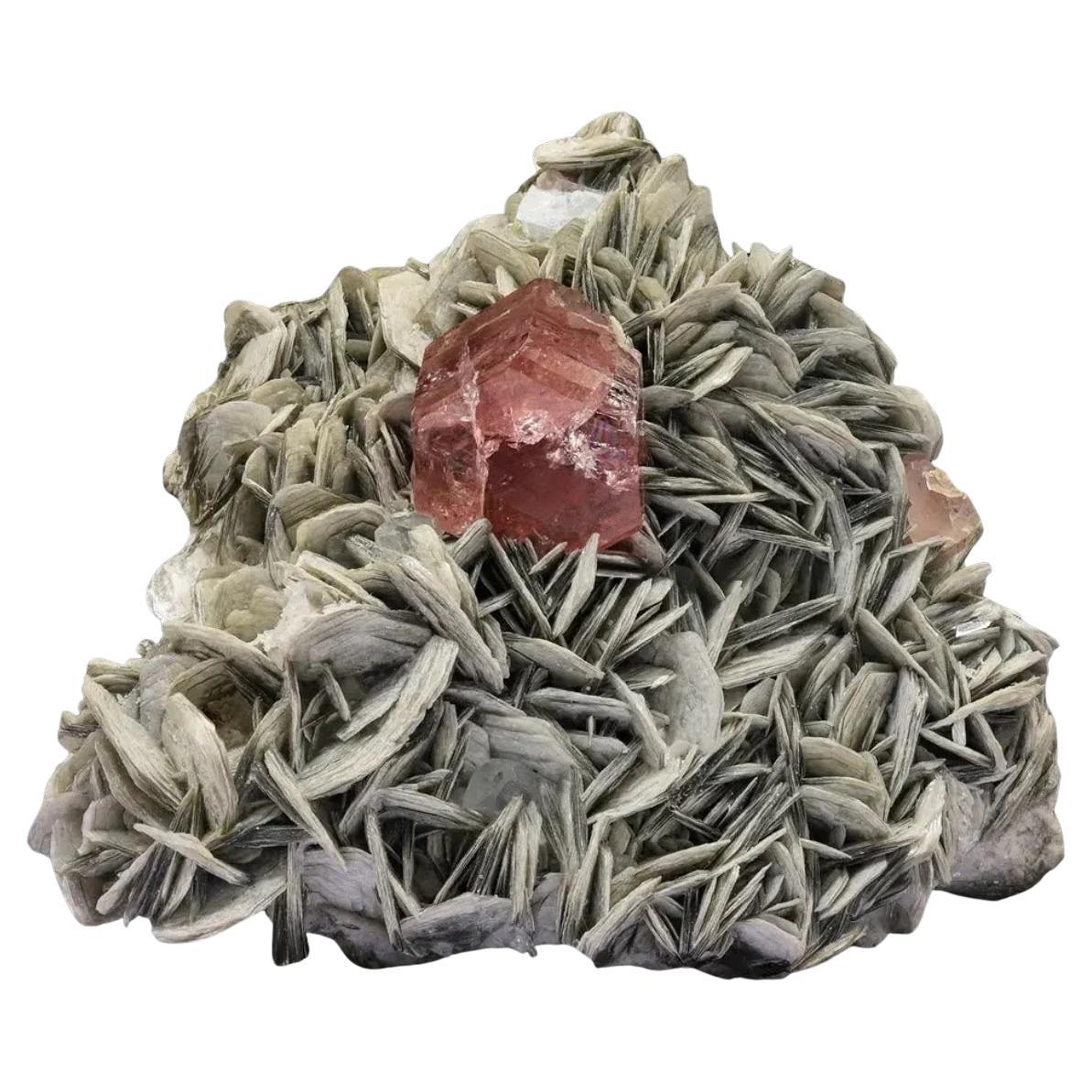 Schön positionierter Muscovite-Matrix aus rosa Apatitkristall aus Pakistan