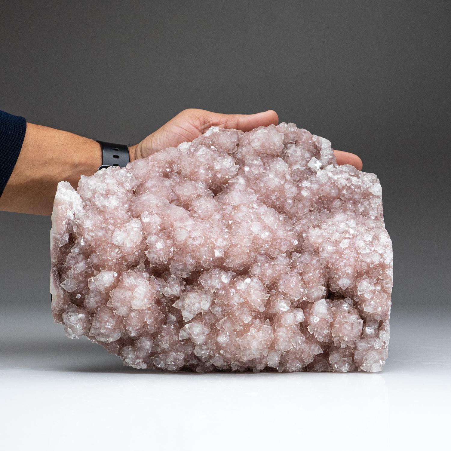 From Maharashtra, India 

Scintillating cluster of translucent crystalline micro crystals of pink apophyllite. Has gradient color from deep pink to light pink with lustrous crystal faces.

 

9.4 lbs, 9.5 x 3 x 8 inches