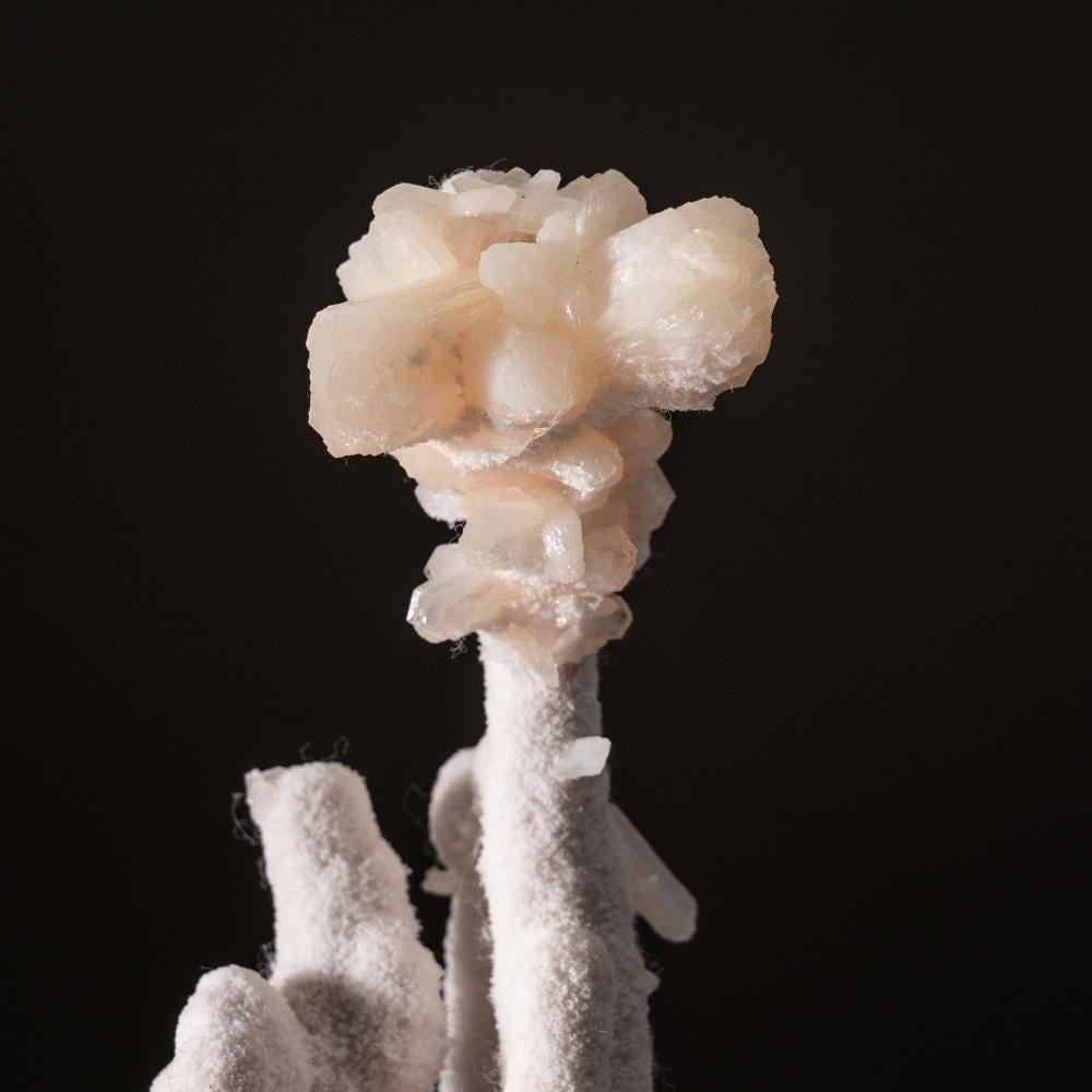 Indiano Stalattite di aragonite rosa con stilbite a forma di fiocco da Jalgaon, Maharashtra, India in vendita