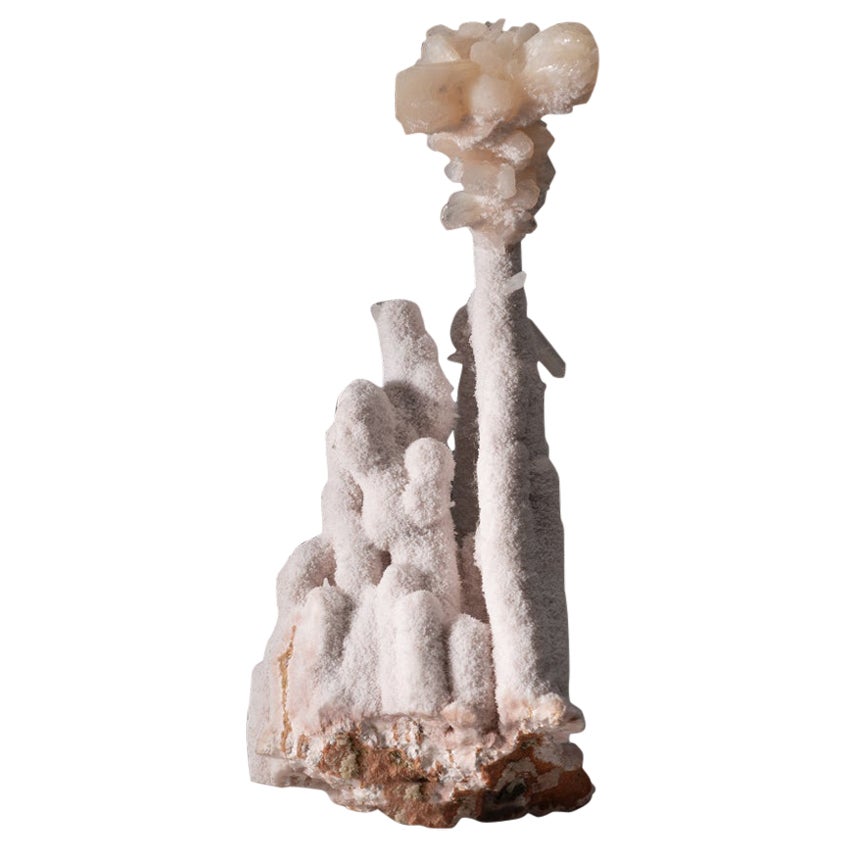 Aragonite rose Stalactite avec cravate en forme de nœud papillon de Jalgaon, Maharashtra, Inde en vente