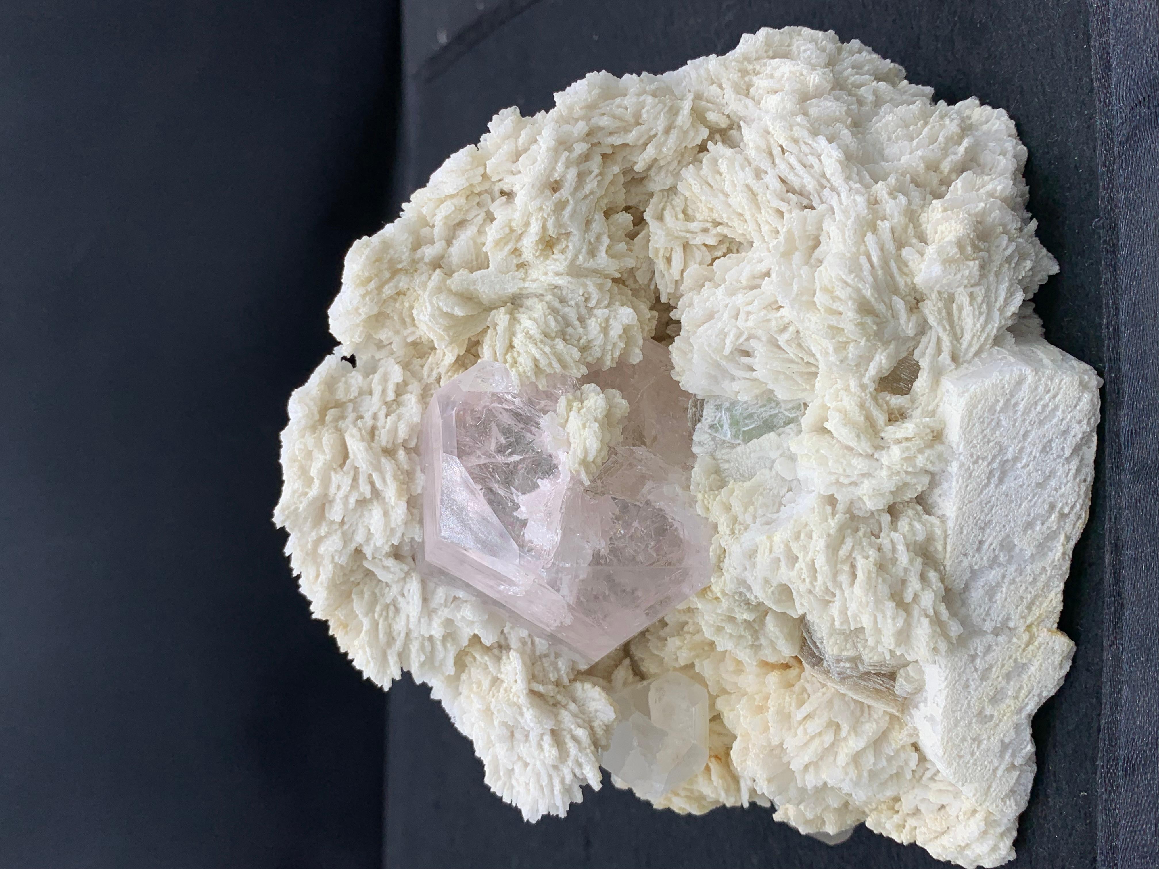 Spécimen : Cristal de Morganite sur Cleavelandite 
Poids : 905 grammes
Dimension H : 11,5 x L : 13 x P : 9 cm
Origine : District de Skardu, Gilgit Baltistan, Pakistan
Traitement : Aucun
.
Ce spécimen exquis présente un cristal de Morganite vitreux