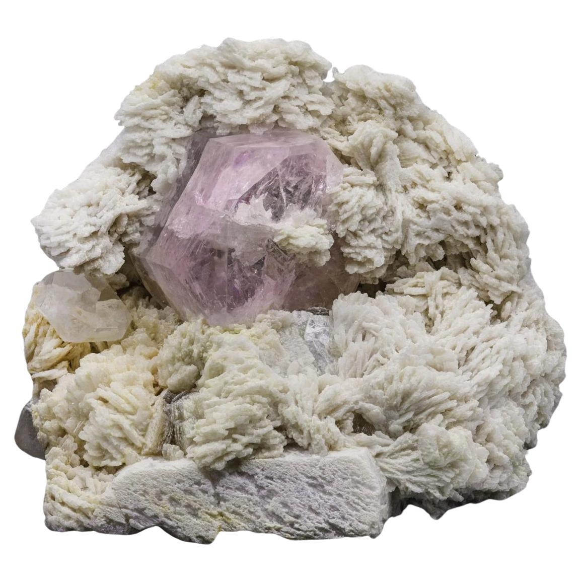Crystal Morganite de couleur rose sur Cleavelandite du Pakistan