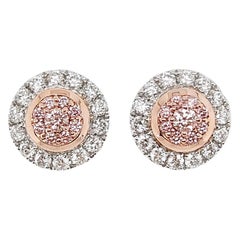 Argyle Pink Diamond Stud Earrings in Platinum and 18 Karat Pink Gold