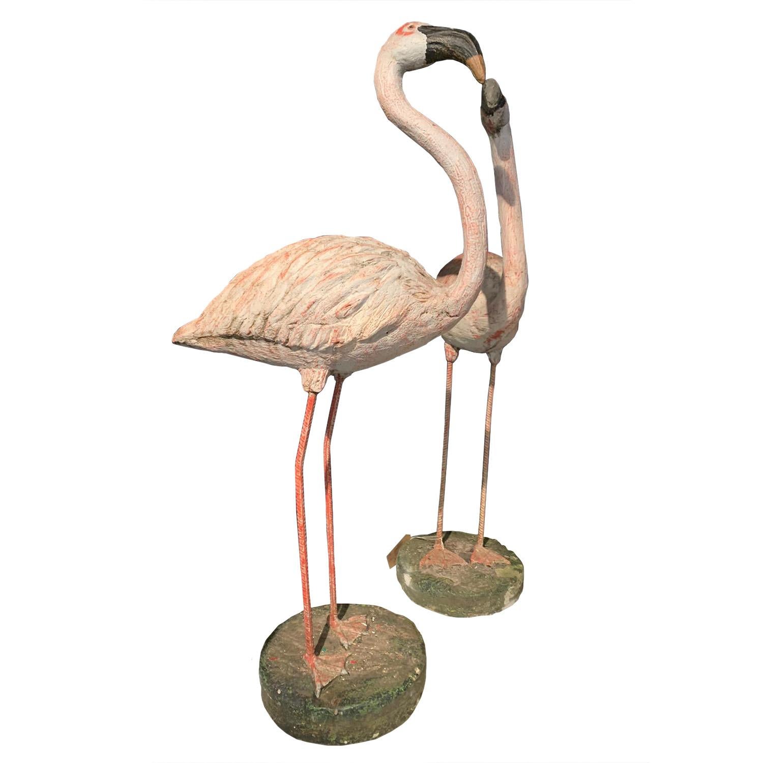 Belgian Pink Flamingo