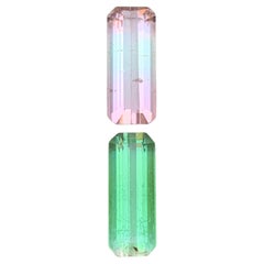 Rosa, Verde Bicolores Turmalina Natural Gema Suelta Par Reverso 8,65Ct-Joya