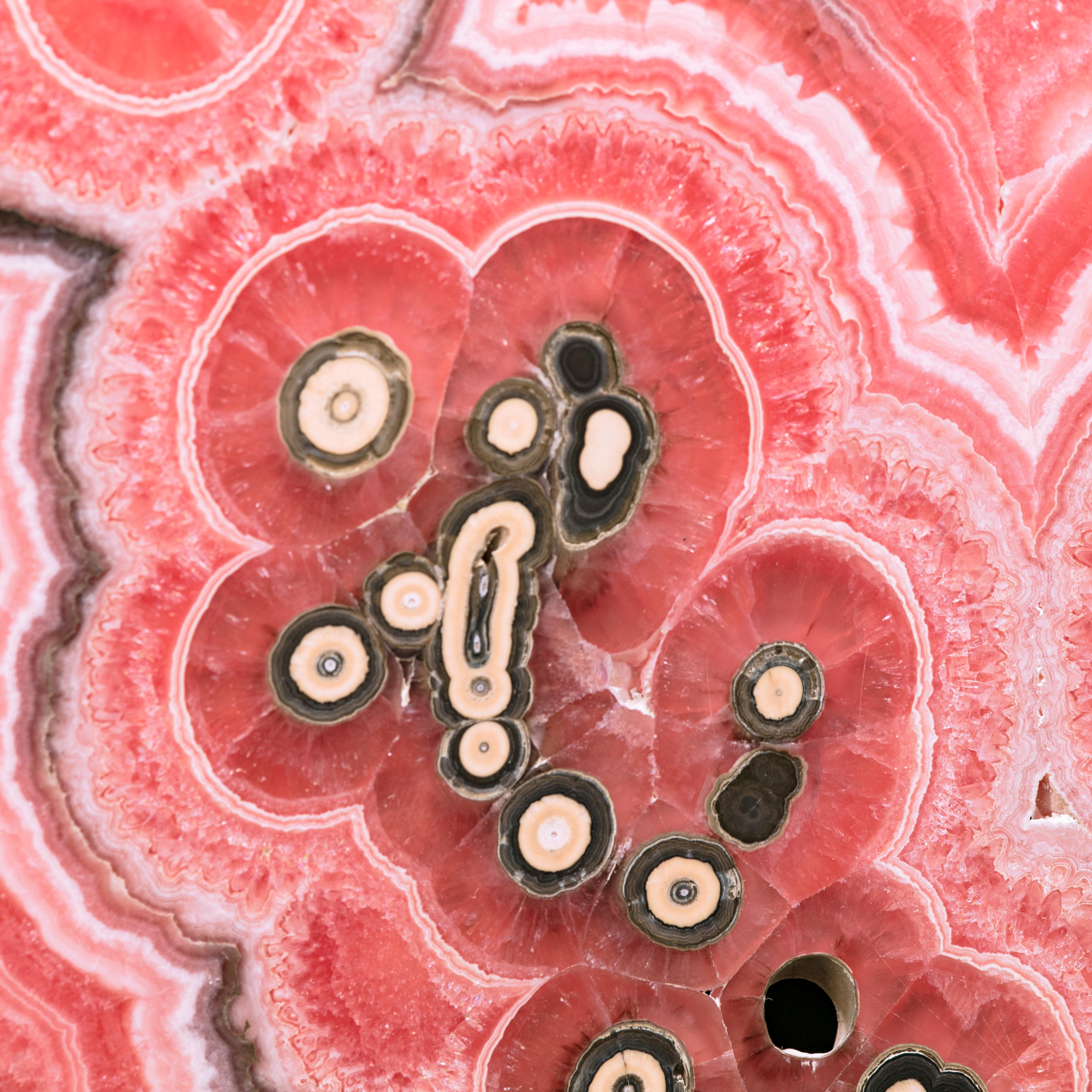 Argentine Pink Heart Rhodochrosite Slice Mineral Specimen, Capillitas Mine, Argentina For Sale
