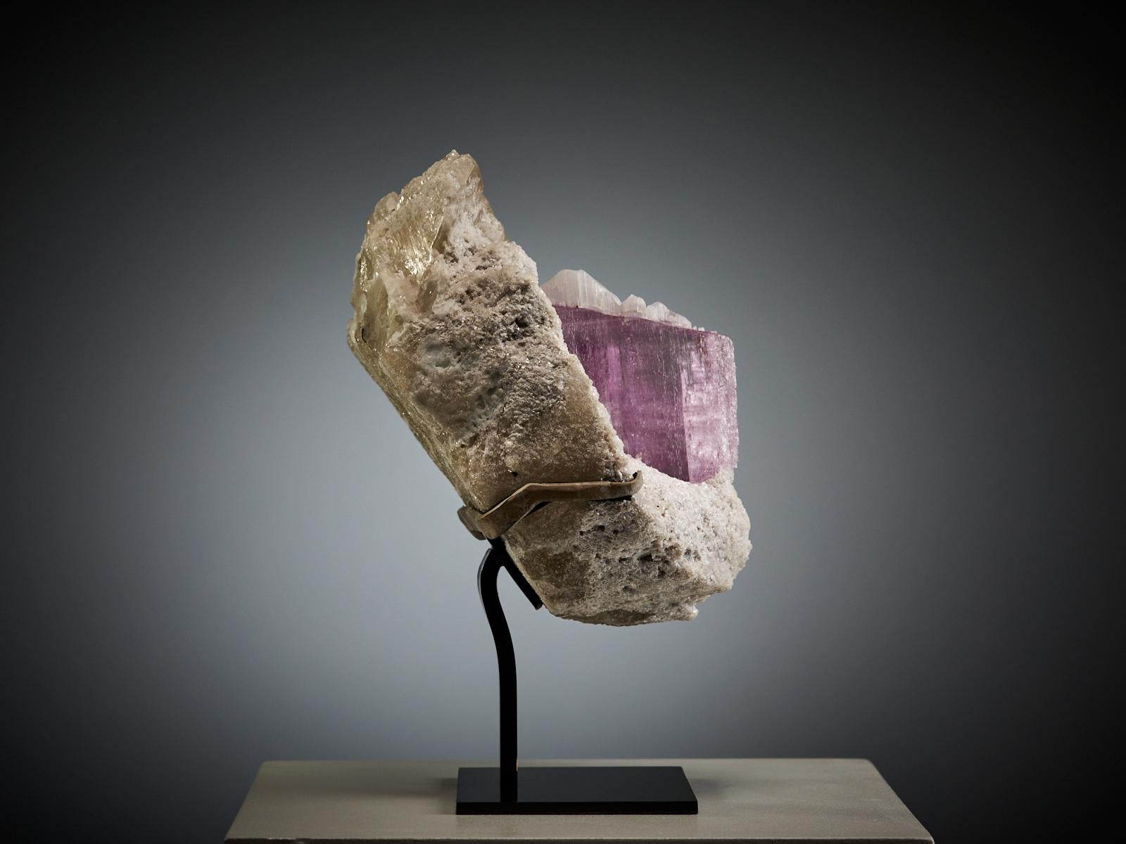 An exceptional specimen featuring a vivid pink Kunzite crystal partially covered by delicate white quartz, with fine calcite and mica accents adding texture and contrast. The Kunzite shows superb clarity and sharp termination, and when light passes