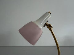 Pink Metal Head Brass Body Single Table Lamp, 1960s, Germany