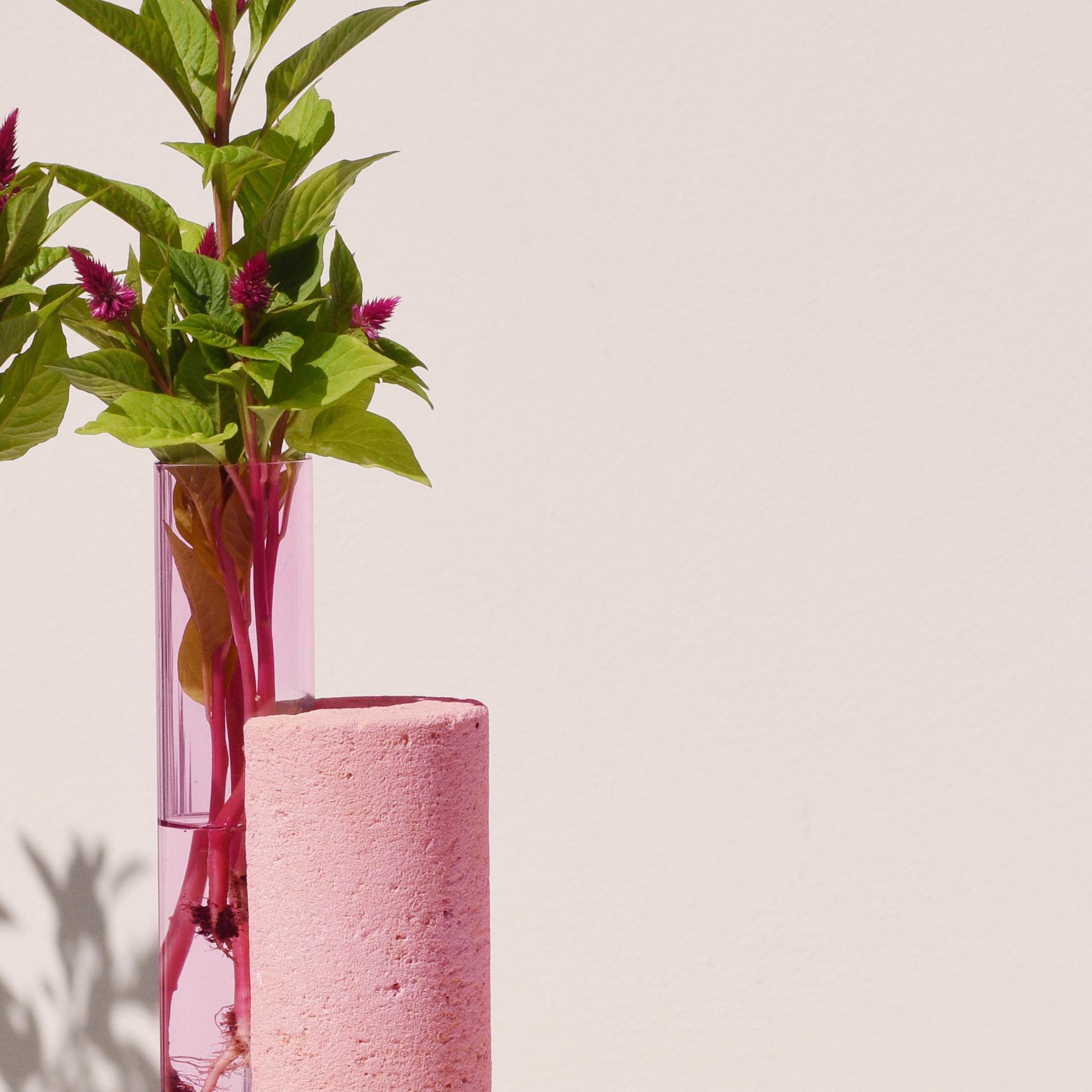 Italian Pink-Pink Cochlea dello Sviluppo Soils Edition Vase by Coki Barbieri For Sale