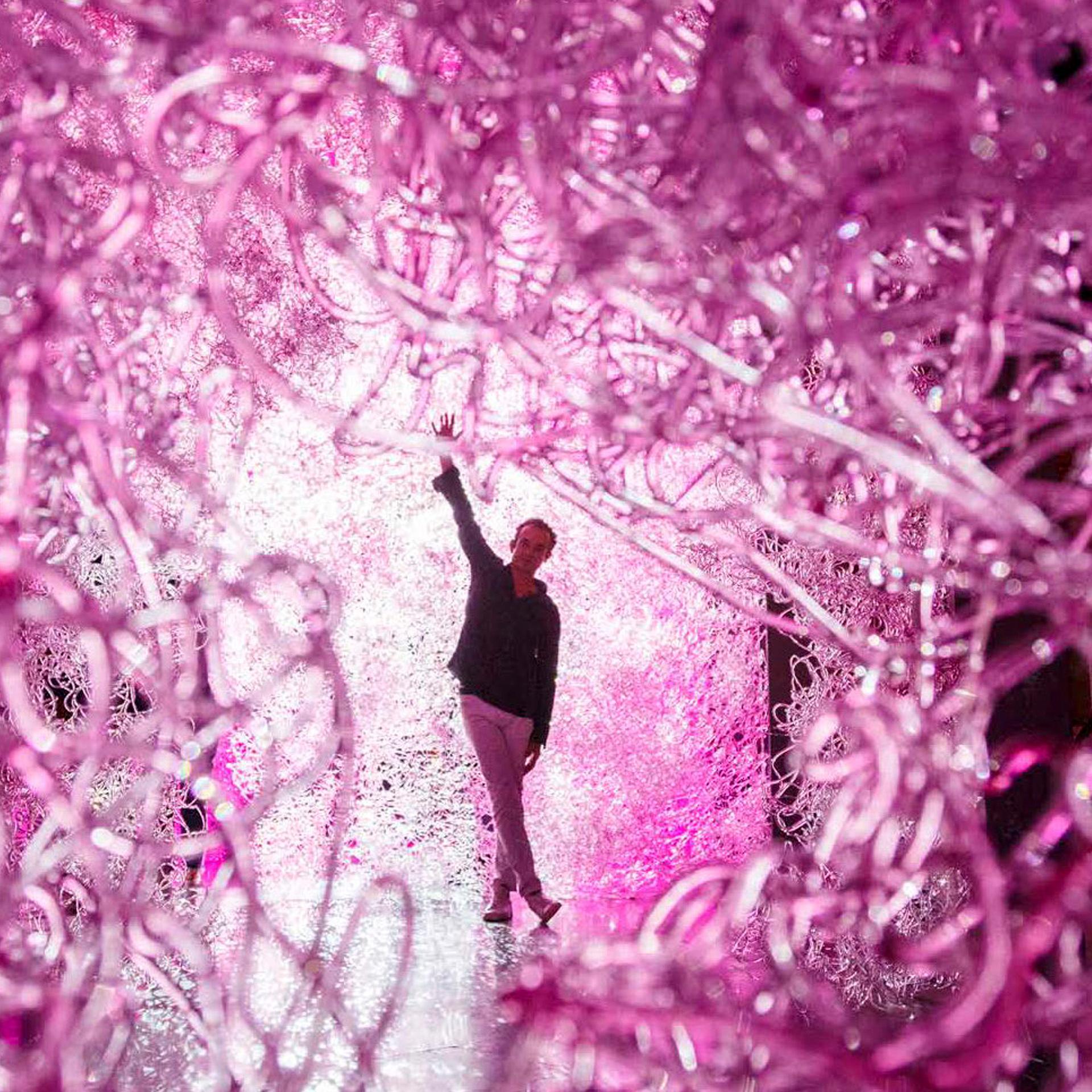 Araña de resina rosa Mod Supernova de Jacopo Foggini Resina en venta