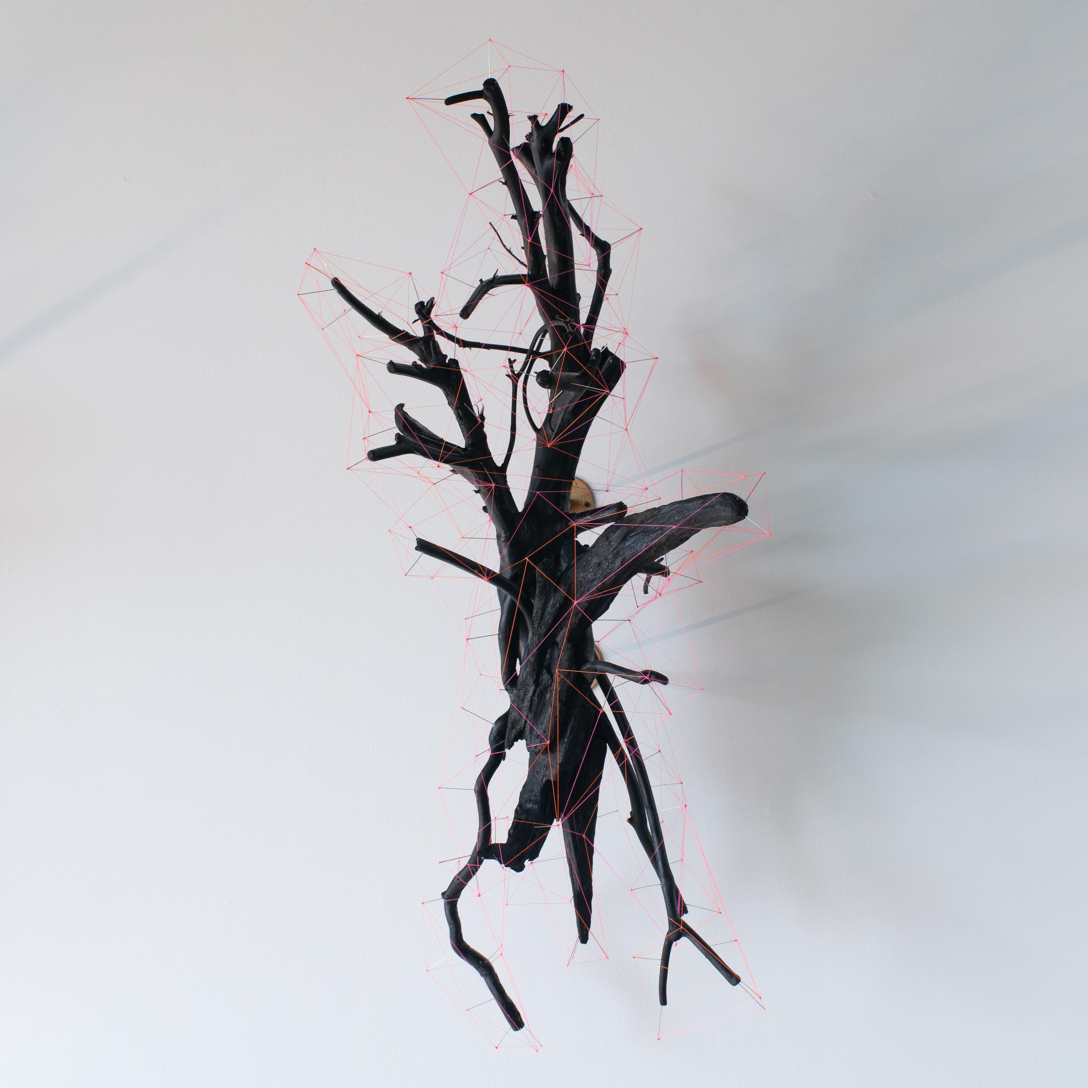 Work of art made of driftwood, pins and threads. Pins stuck around drift wood in black , where their tips are tied with pink and orange threads. 
Extended model from Norihiko Terayama's representative series 