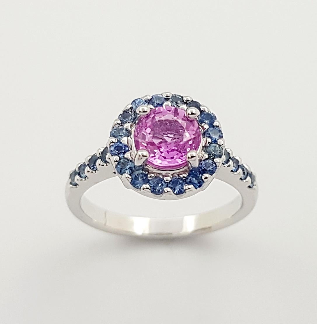 Pink Sapphire and Blue Sapphire Ring set in 18K White Gold Settings  For Sale 2