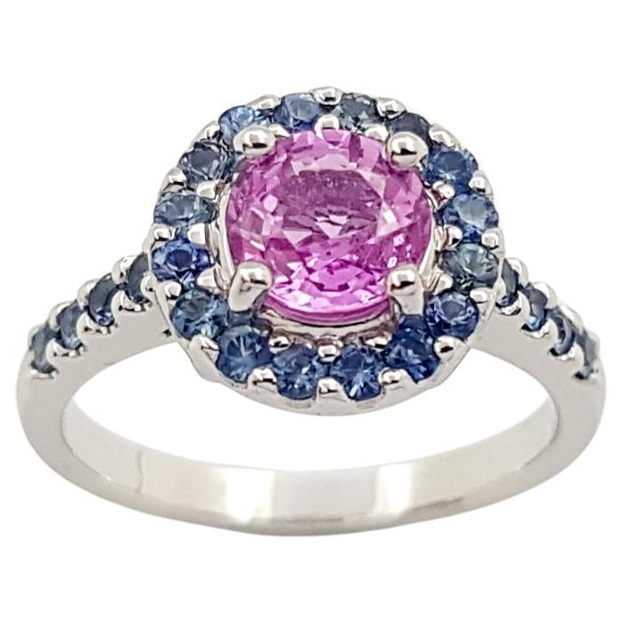 Anillo de zafiro rosa y zafiro azul engastados en oro blanco de 18 quilates