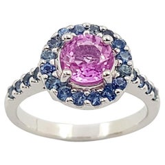 Pink Sapphire and Blue Sapphire Ring set in 18K White Gold Settings 