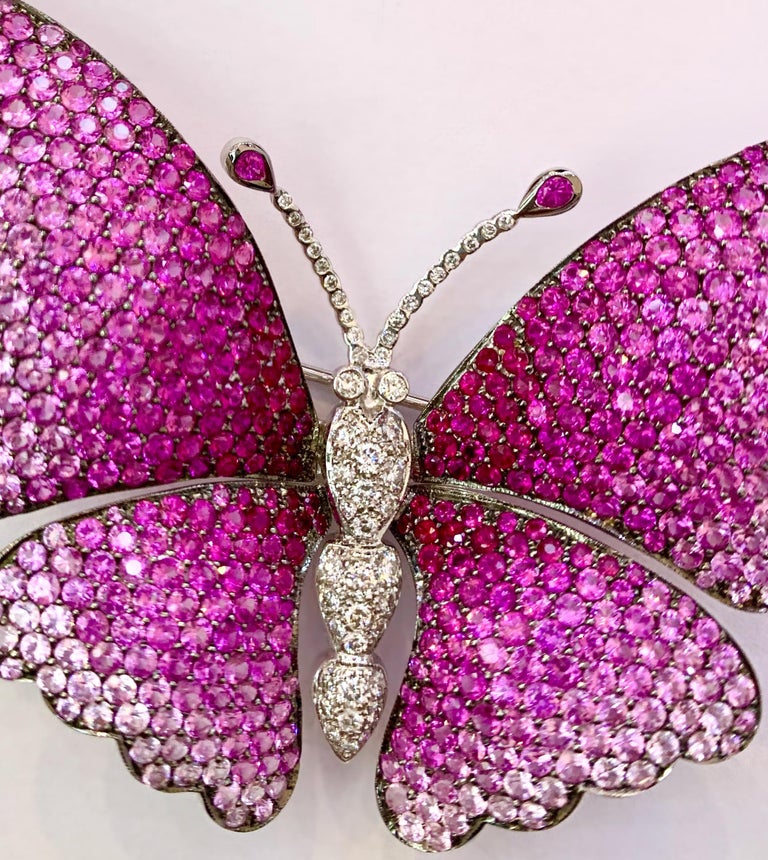 Pink Sapphire and Diamond 18 Karat White Gold Butterfly Brooch For Sale