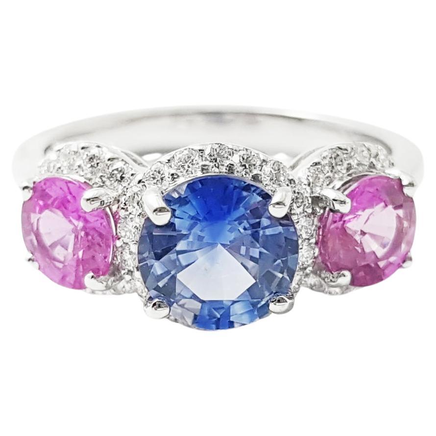 Bague en or blanc 18 carats sertie de saphirs roses, saphirs bleus de Ceylan et diamants