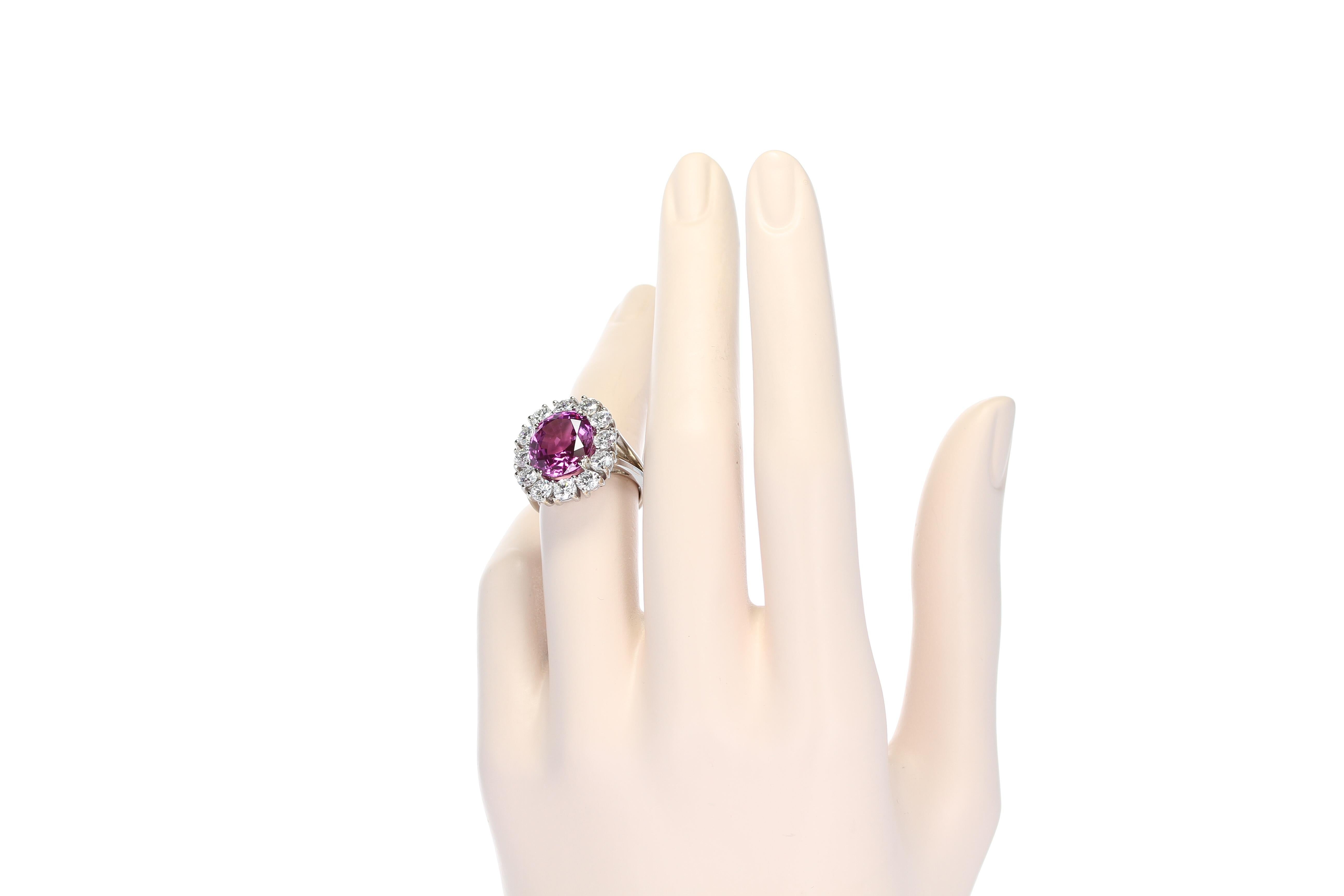 A beautiful and vibrant 10+ carat oval pink sapphire accented with a cluster of twelve round brilliant cut diamonds weighing approximately three carats, with (H/I color, VS-SI clarity), set in 18kt white gold. The pink sapphire displays exceptional