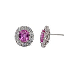 Pink Sapphire & Diamond Halo Stud Earring in 18k White Gold