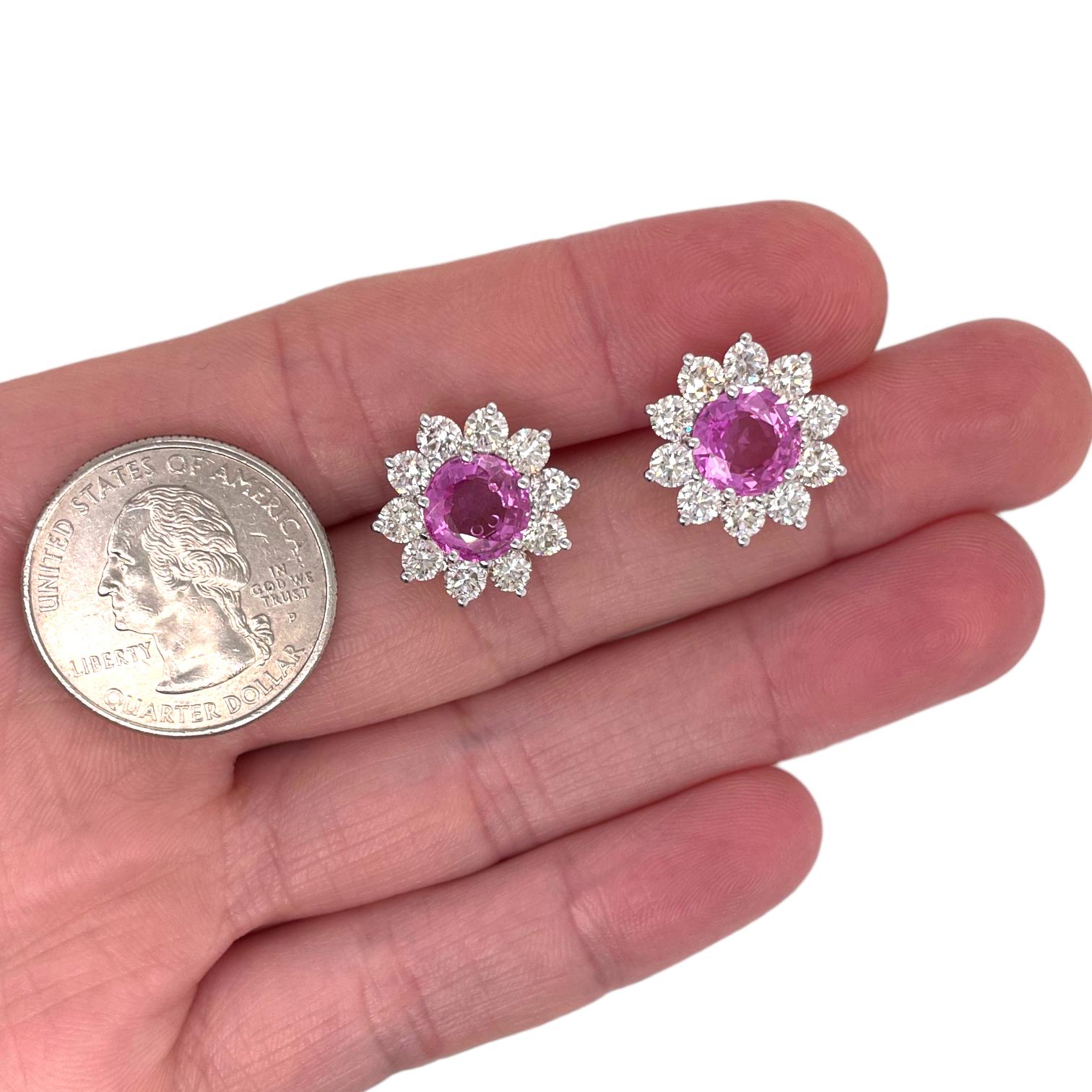 Stud earrings contain 2 finely matched round brilliant cut pink sapphires, 5.08tcw.. Surrounding pink sapphires are round brilliant diamonds creating a halo, totaling 3.08tcw. Diamonds are near colorless and VS2 in clarity, excellent cut. Stones are