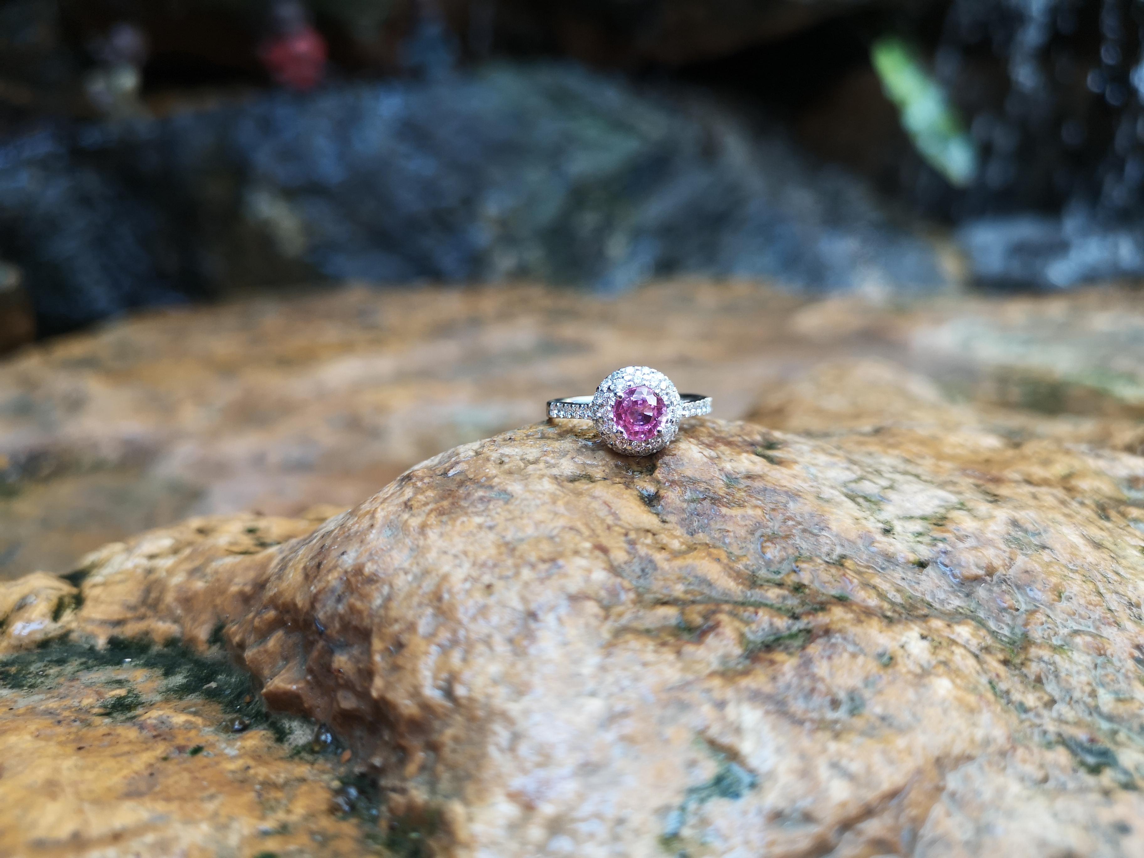 Round Cut Pink Sapphire with Diamond Ring Set in 18 Karat White Gold Settings For Sale 2