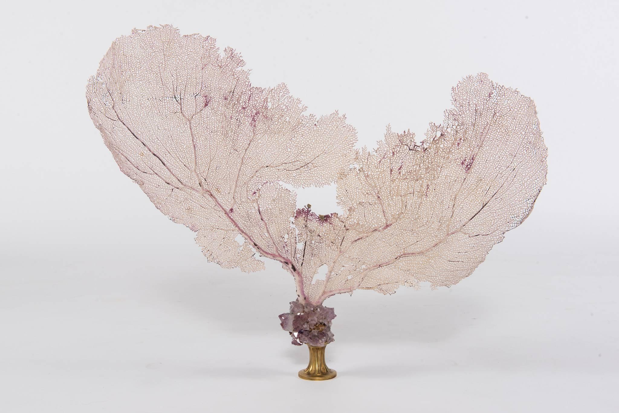 Pink sea fan coral and amethyst quartz on 19th century gilt bronze fragment.