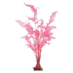 Pink Synthetic Fern Decoration