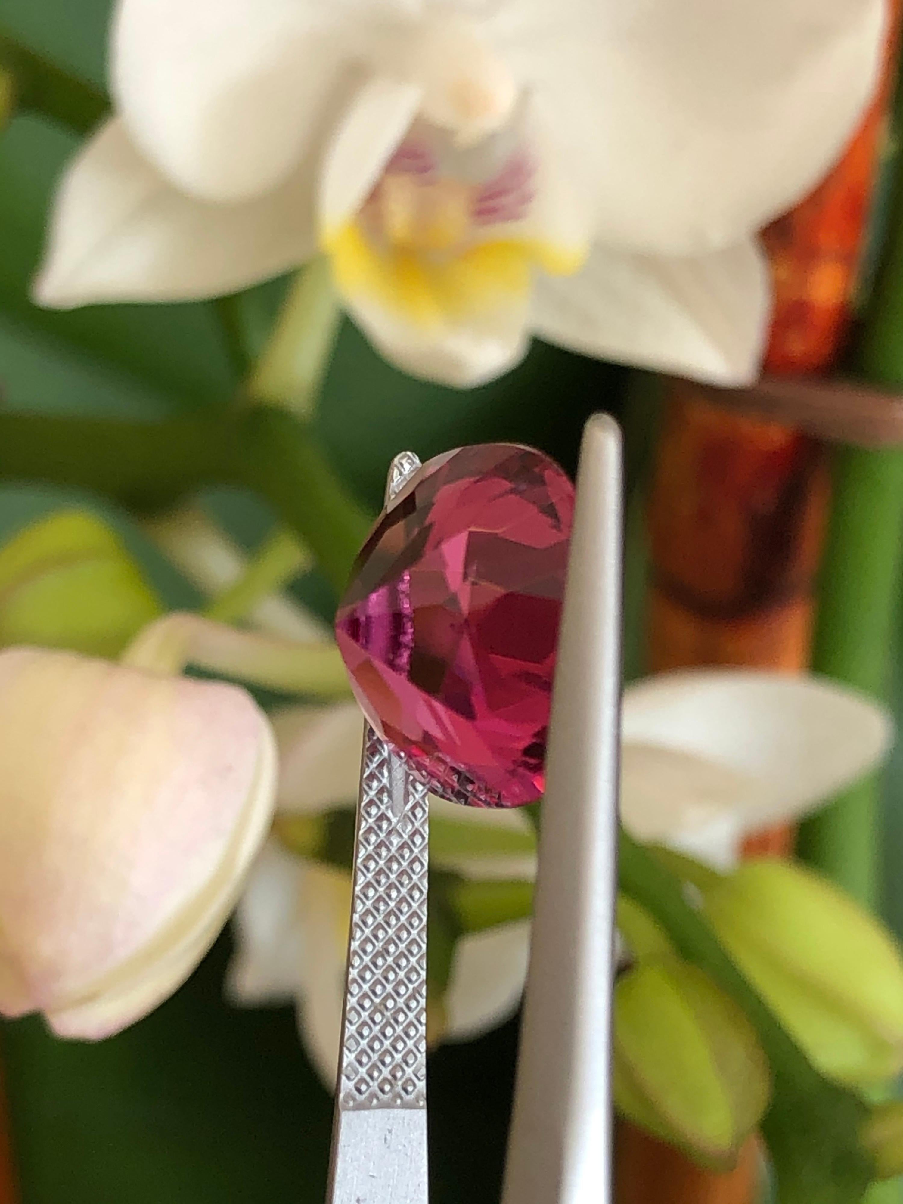 Pink Tourmaline Cushion Cut 5.04 Carat In New Condition In Beverly Hills, CA