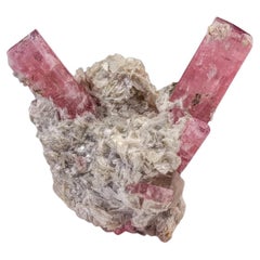Pink Tourmaline Isolated Couple Of Crystals On Muscovite From Afghanistan