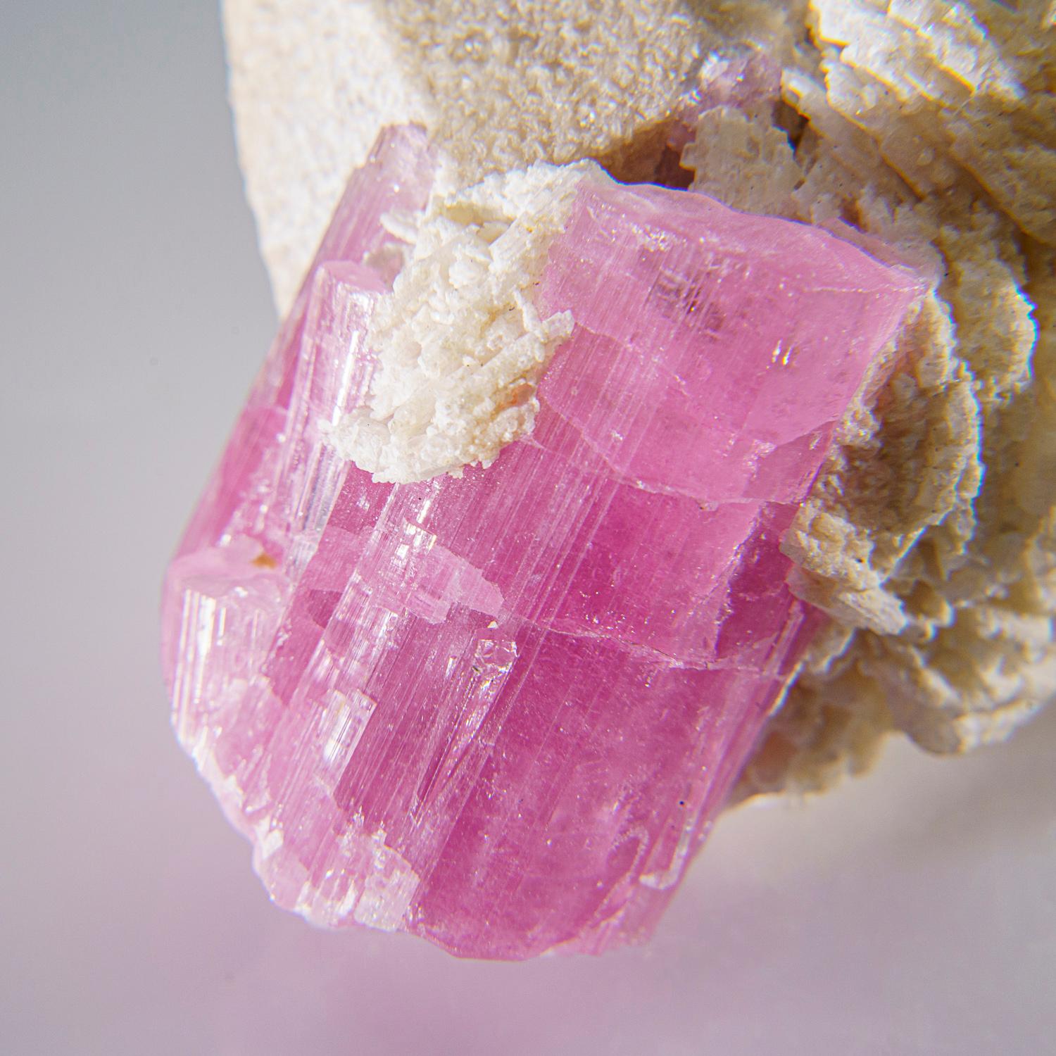 From Paprok, Kamdesh District, Nuristan Province, Afghanistan
Gemmy bi-colored elbaite tourmaline crystal on white albite matrix. The elbaite crystal has bright pink to watermelon colors. 

Weight: 247.4 grams, Size: 3.5 x 2.5 x 2 inches