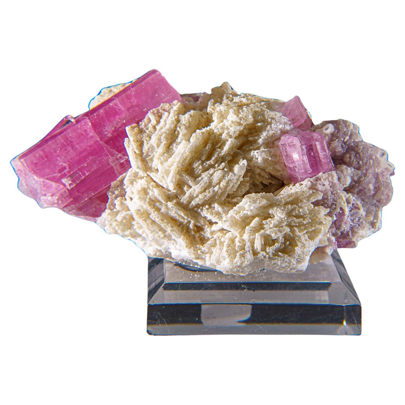 Pink Tourmaline on Albite from Nuristan Province, Afghanistan For Sale