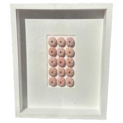 “Pink Urchins” by Christopher Marley with Embossed Signature