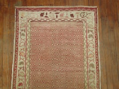 Zabihi Collection Pink Vintage Turkish Anatolian Runner