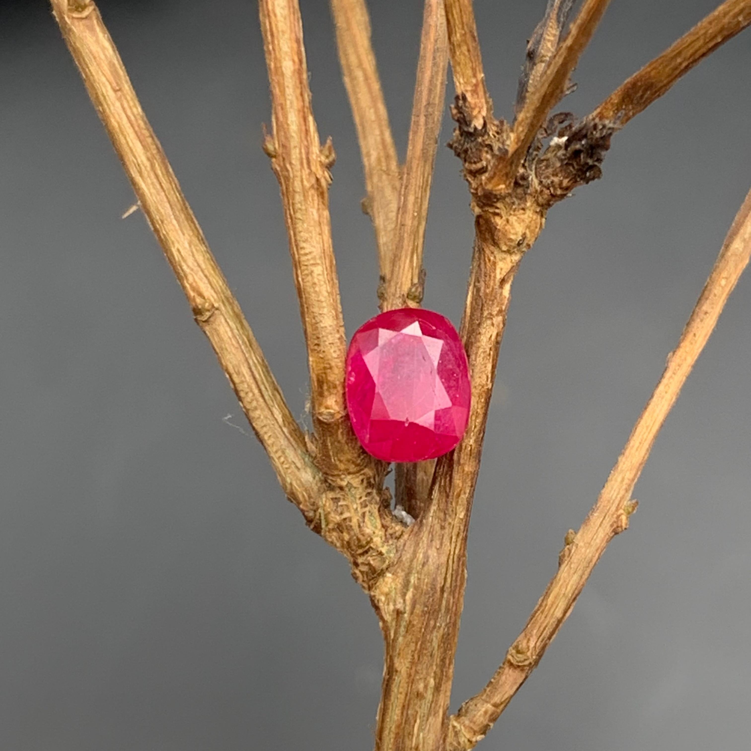 ¡¡¡Rubí Natural Rojo Rosado Piedra Preciosa Suelta para Anillo, o cualquier otro Engaste de Joyería-Oval Cushion Cut de Afganistán!!!

💎 TIPO DE PIEDRA PRECIOSA: Rubí
⚖️ PESO: 1,30 Quilates
FORMA Y TALLADO: Talla cojín oval
📏 TAMAÑO (MM): 6,45 x