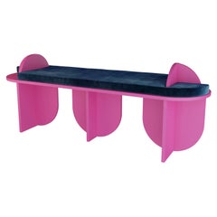 Pink
s Not Dead Bench TT06