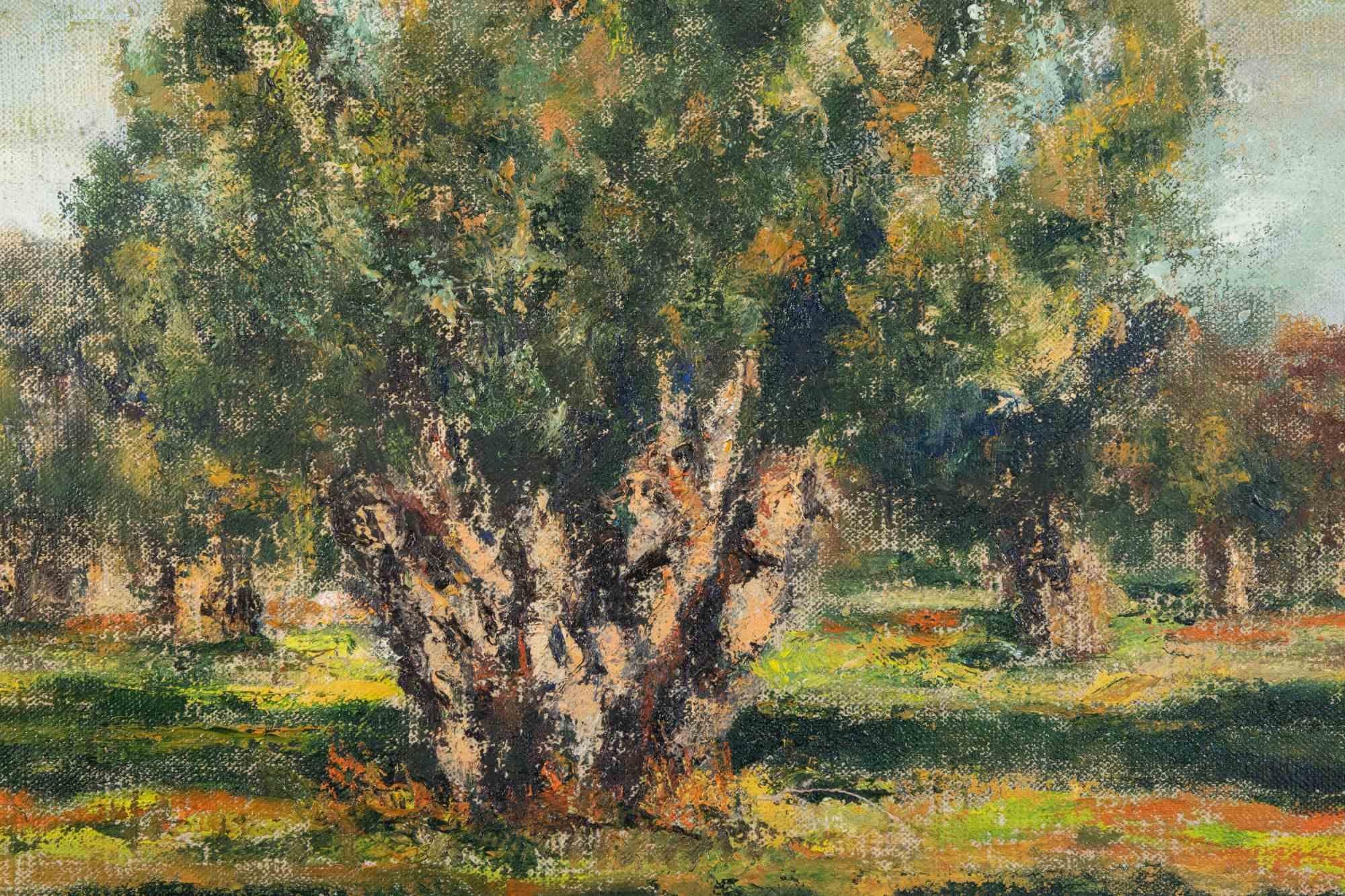 Oliveto nel Salento - Dipinto a olio di Pino Romanò - Anni '90 in vendita 1