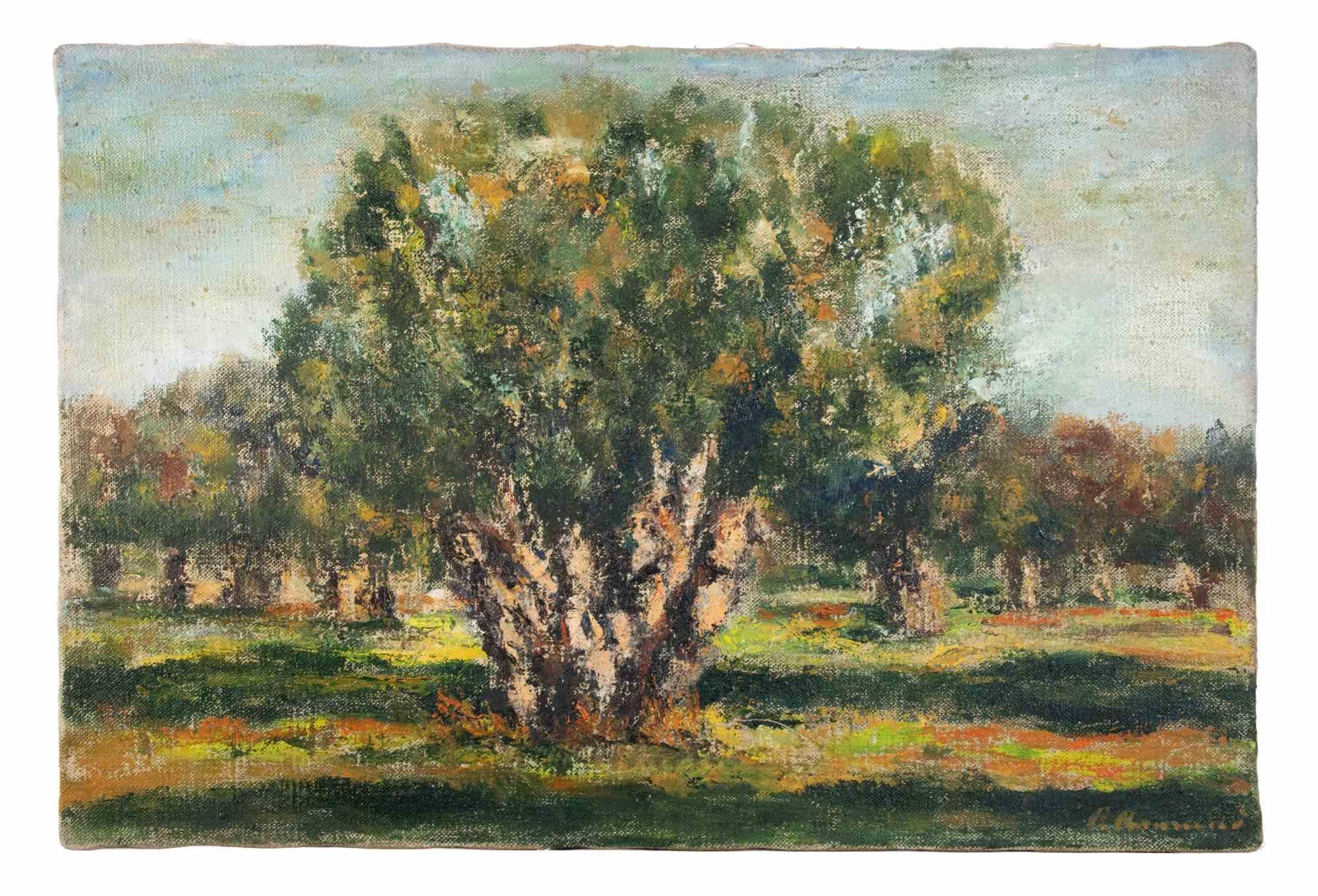 Oliveto nel Salento - Dipinto a olio di Pino Romanò - Anni '90