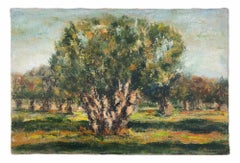 Oliveto nel Salento - Dipinto a olio di Pino Romanò - Anni '90