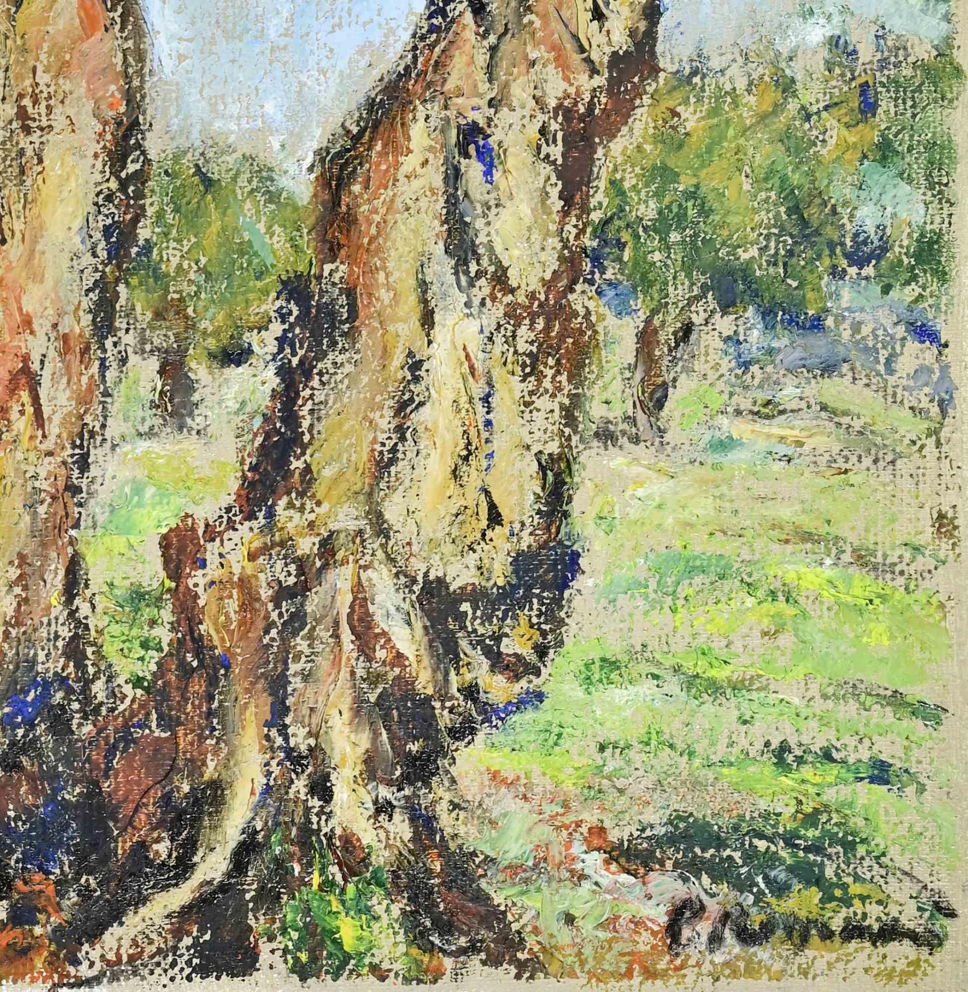 Olive Grove - Oil Paint by Pino Romanò - 1990s For Sale 2