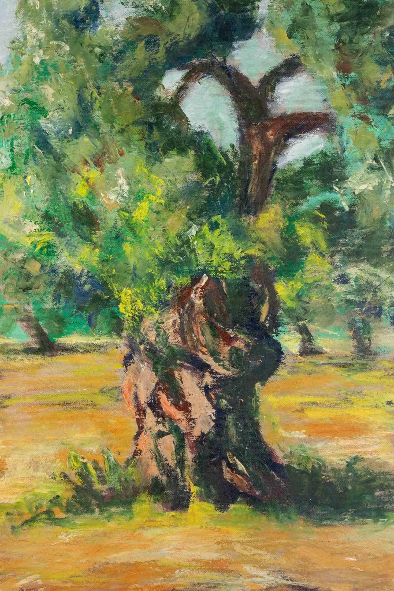 Olive Tree - Oil Paint by Pino Romanò - 1990s For Sale 1
