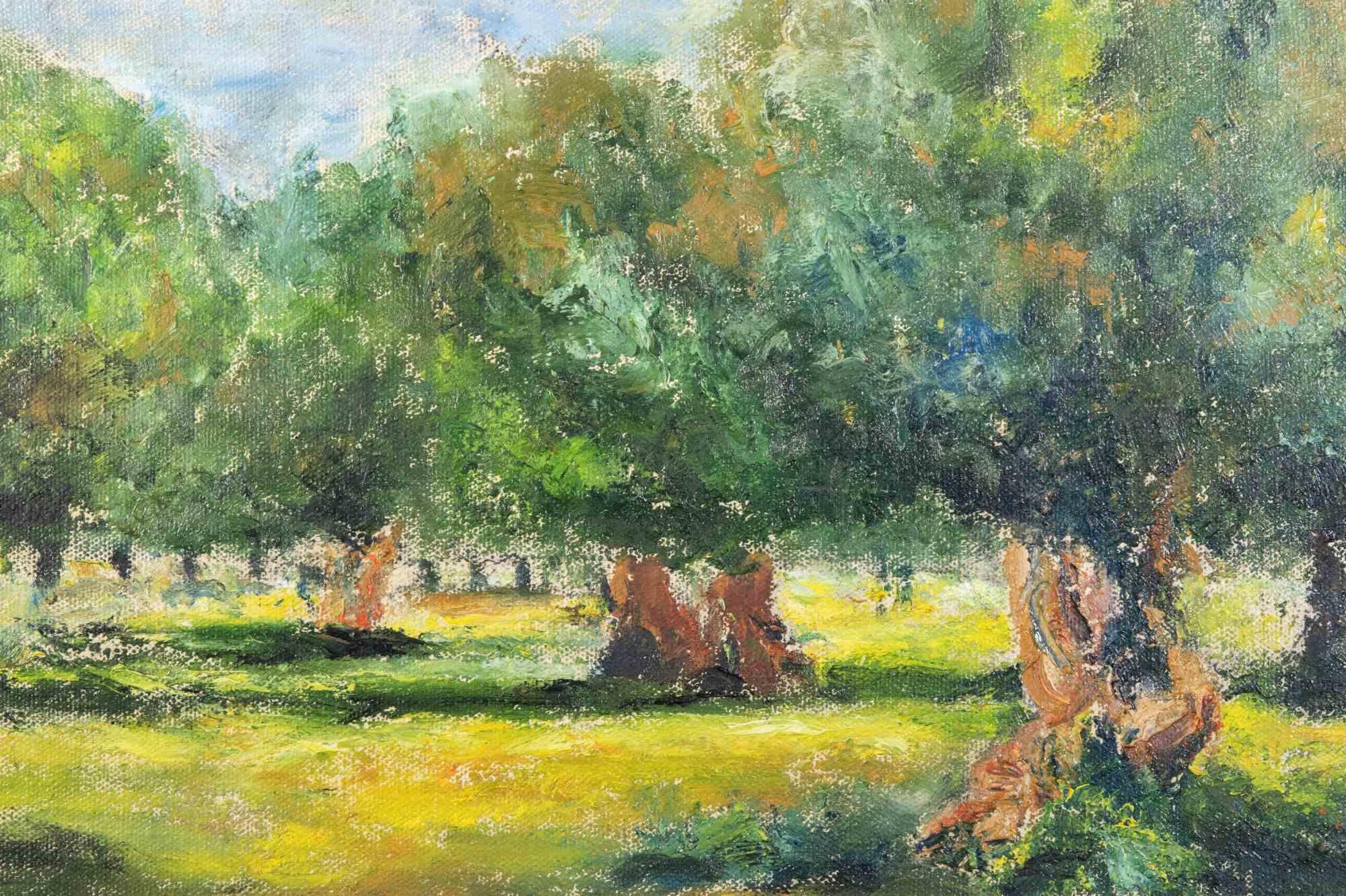Olive Trees in Squinzano- Oil Paint by Pino Romanò - 1990s For Sale 1
