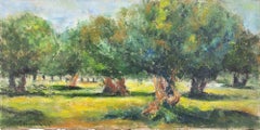 Olive Trees in Squinzano- Oil Paint by Pino Romanò - 1990s