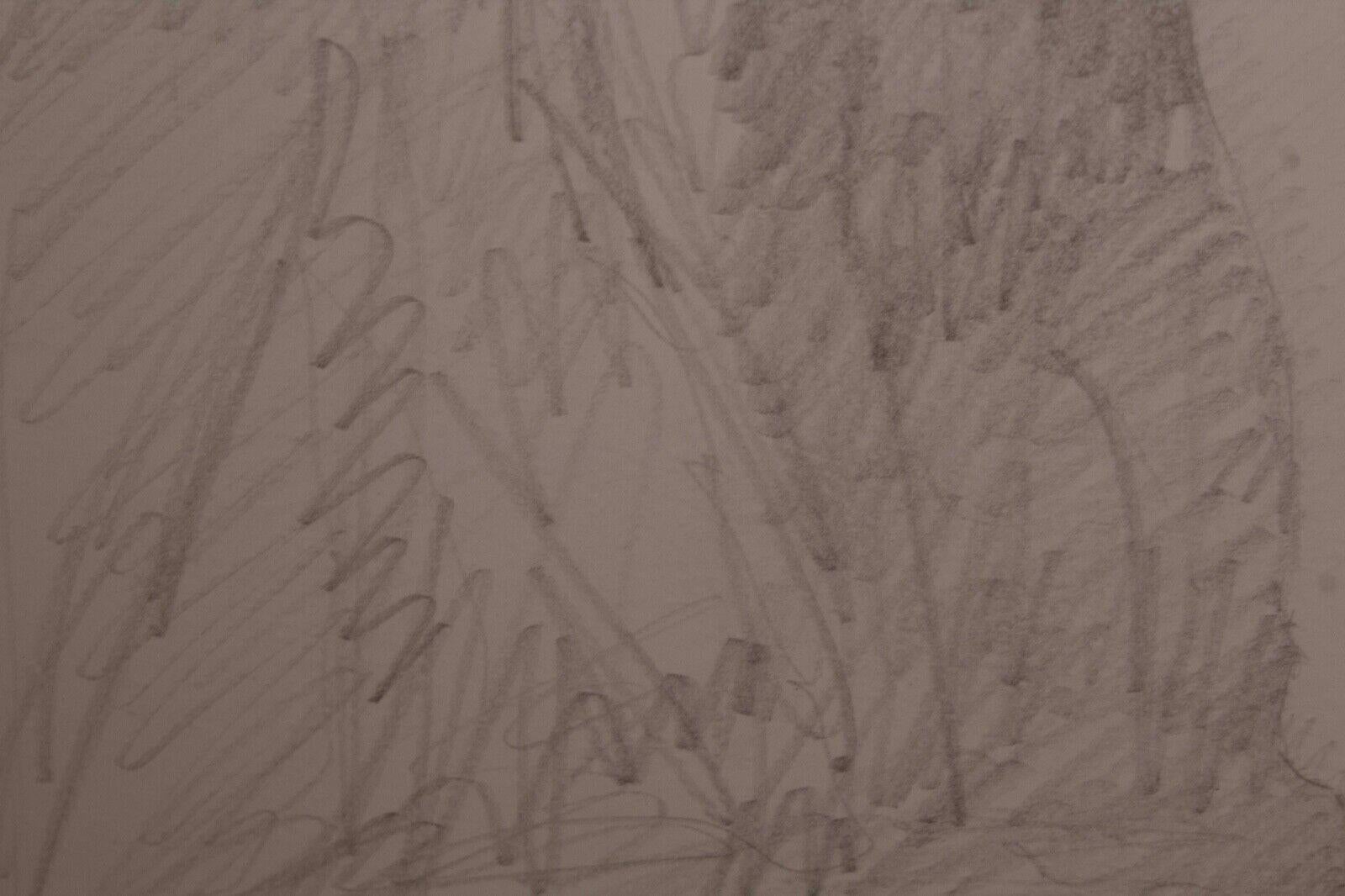 Pino Signed Original Graphite Drawing on Paper Untitled #246 Encadré 2009 w/ COA en vente 1