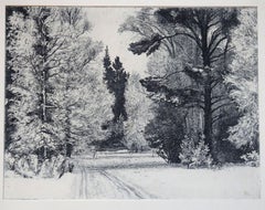 Vintage Forest Road  Paper, etching, 21.5x28.5 cm