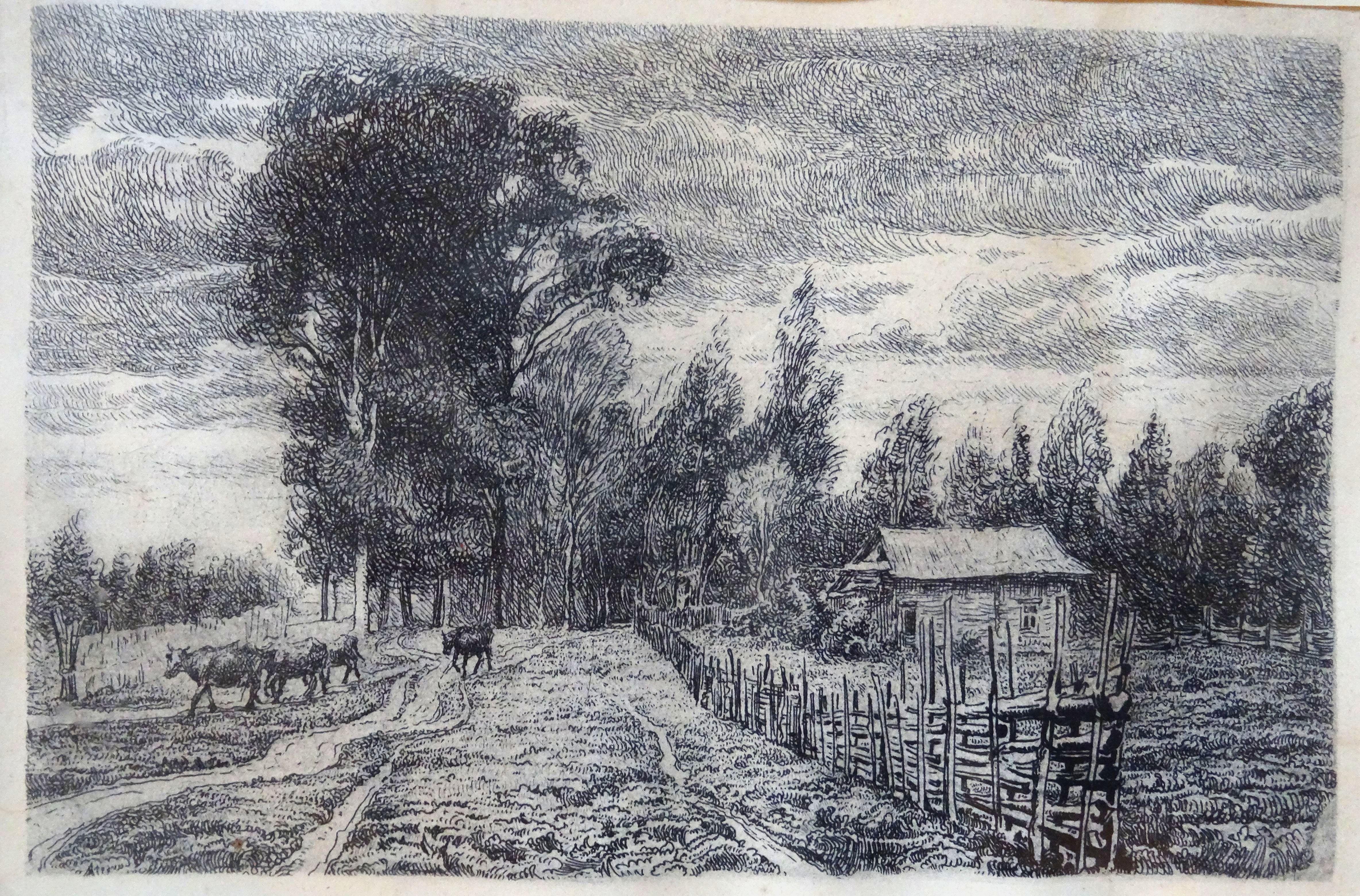 From the Pasture  Paper, etching, 13x19 cm