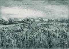 "Field in Darsham" Village in Suffolk - England