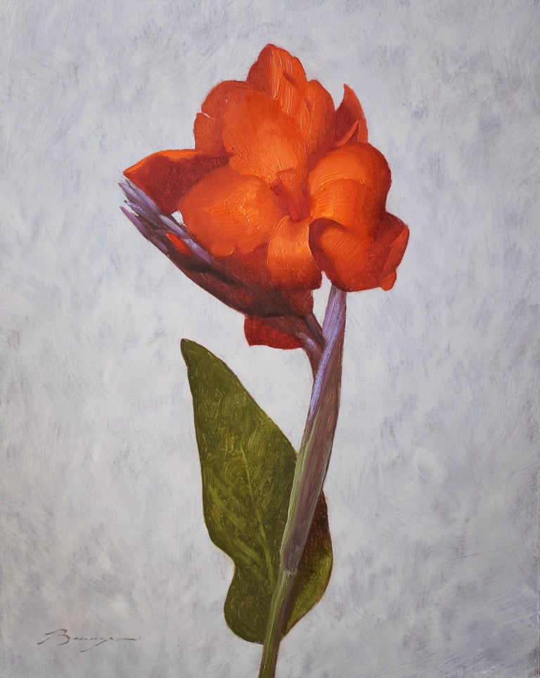 Piper Bangs Canna Pretoria For Sale at 1stDibs