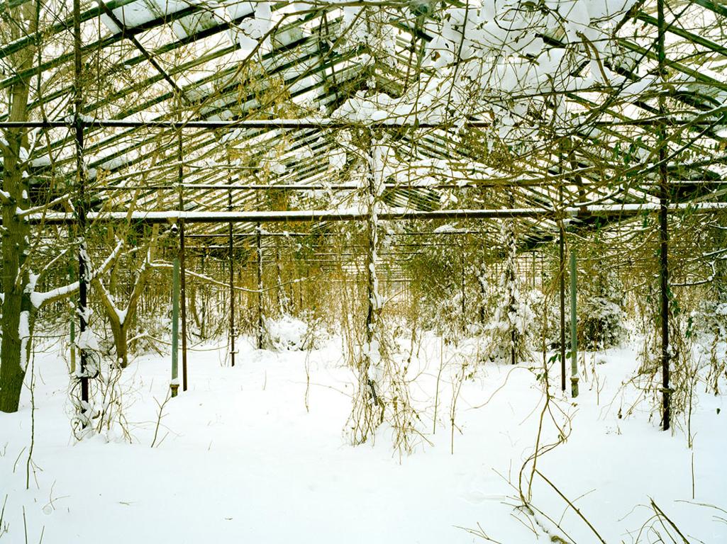 Pipo Nguyen-Duy Landscape Photograph - Untitled (Snow, 03.2010)