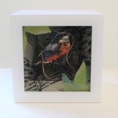 Nuthatch and Sweetgum