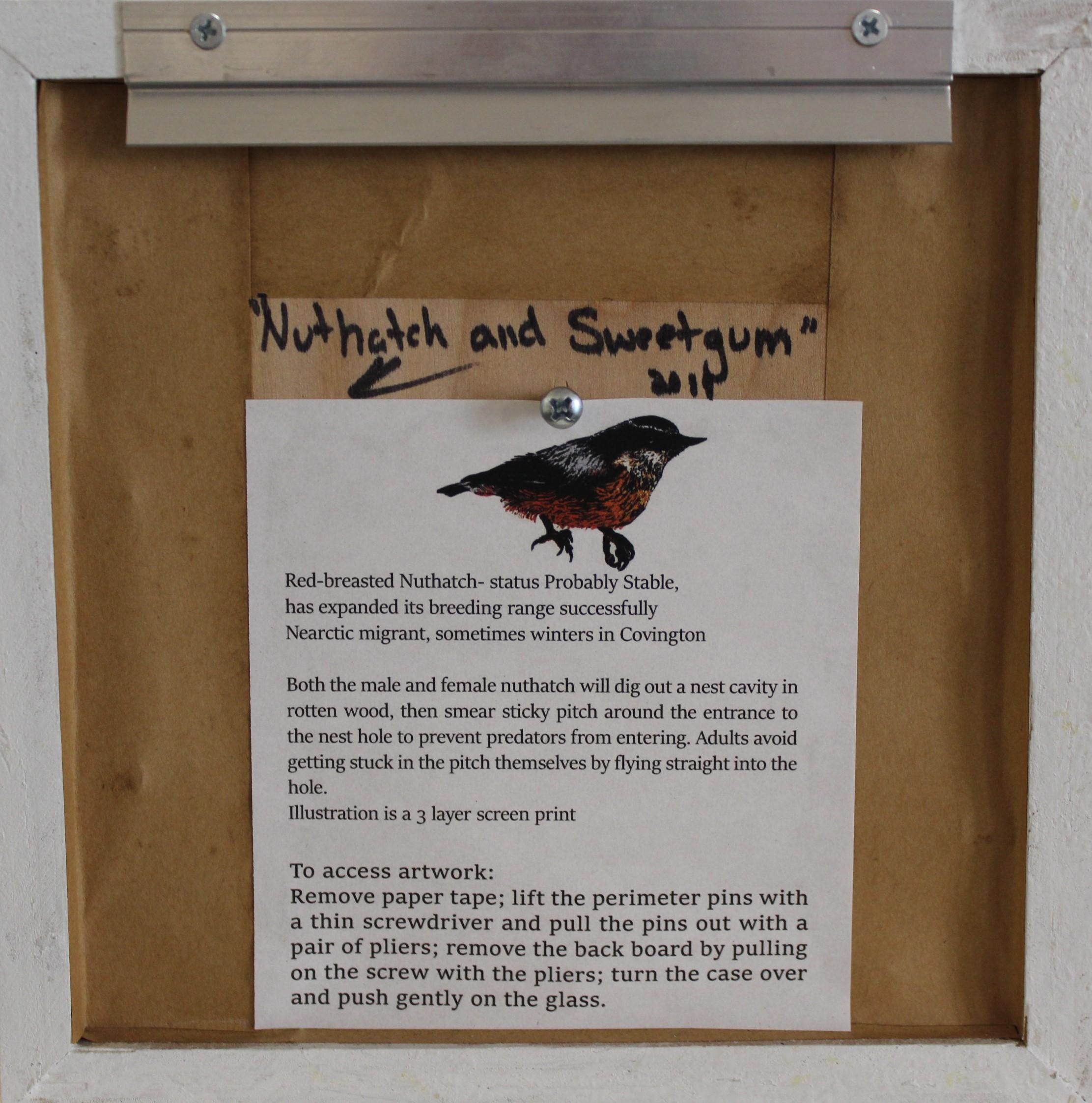 Nuthatch and Sweetgum For Sale 3