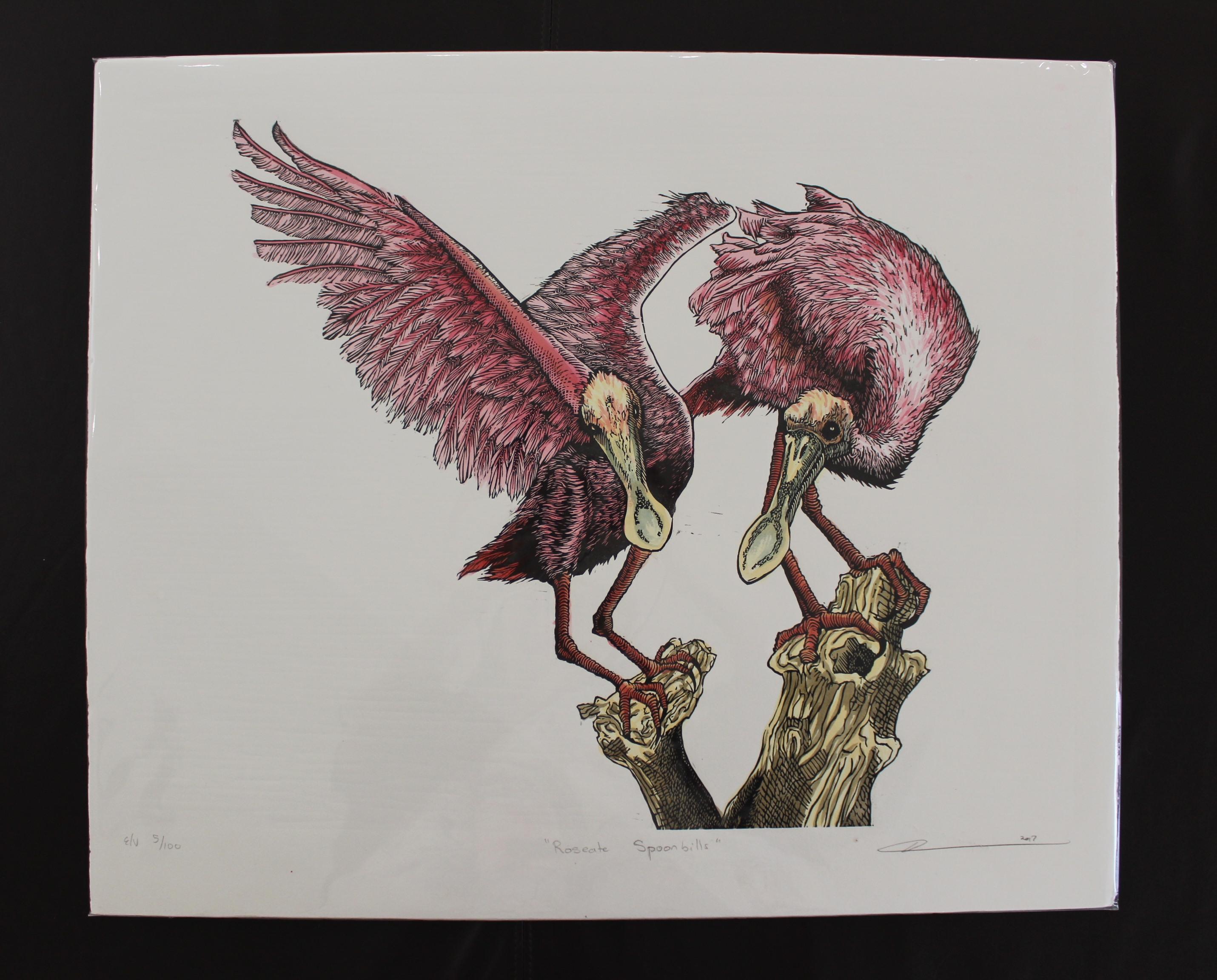 Roseate Spoonbills - Print by Pippin Frisbie-Calder